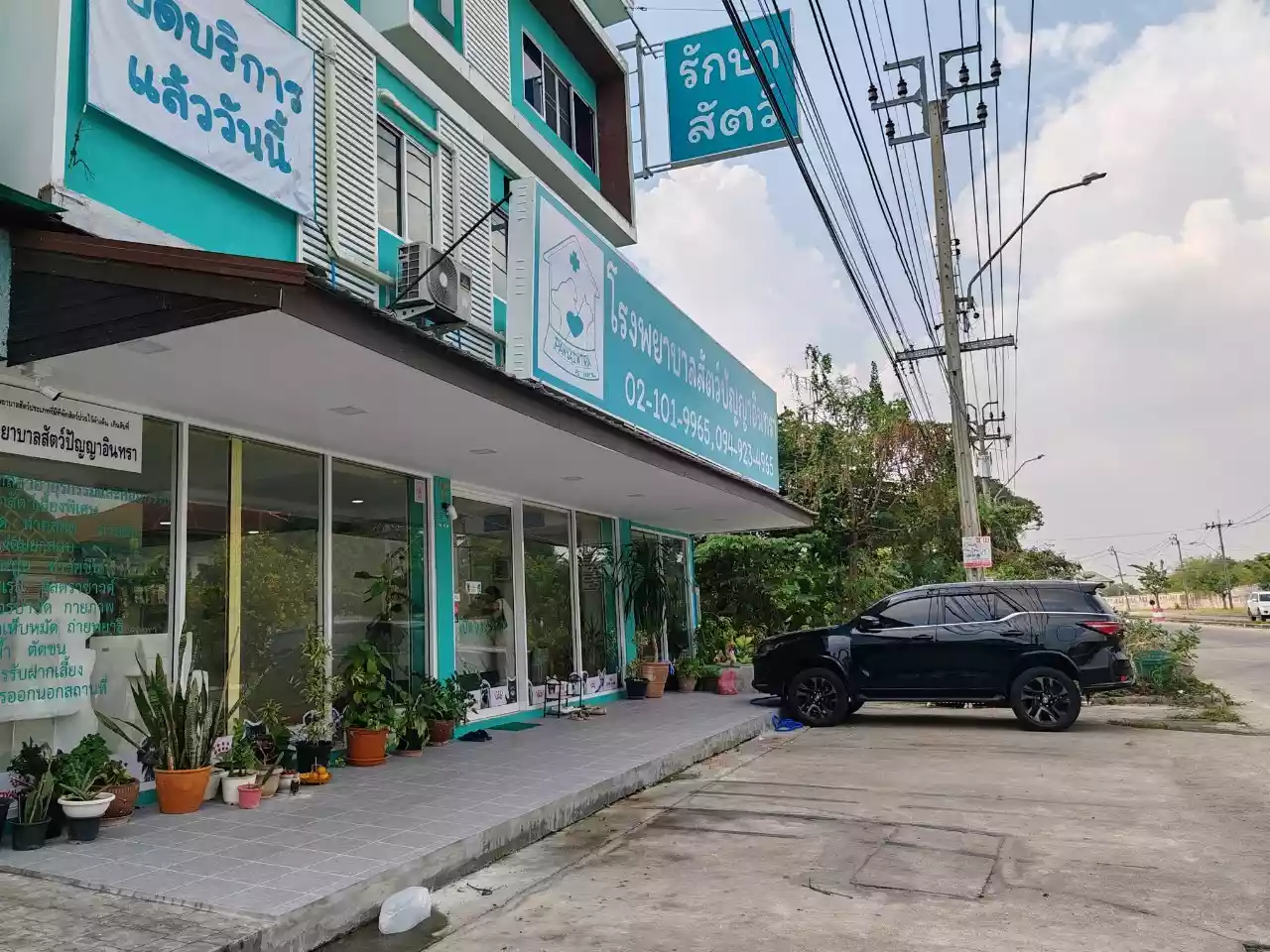 โรงพยาบาลสัตว์ปัญญาอินทรา รูปที่ 2