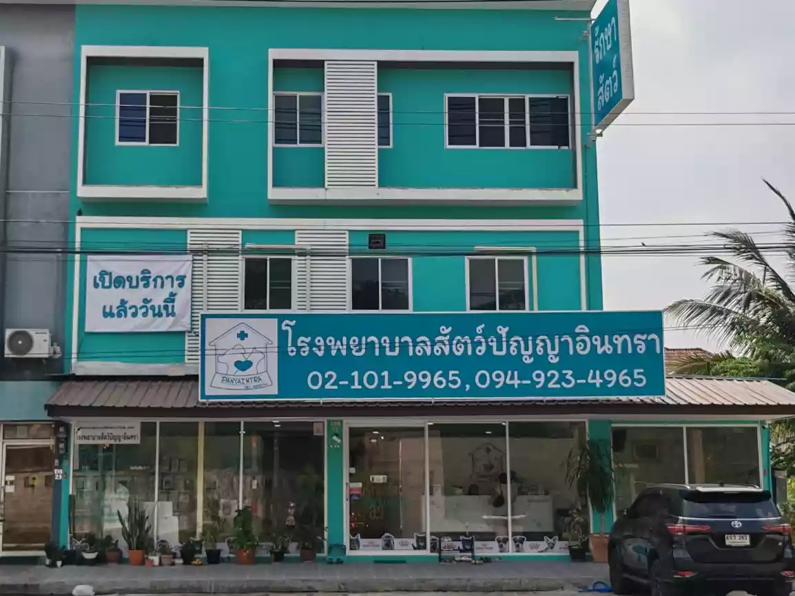 โรงพยาบาลสัตว์ปัญญาอินทรา รูปที่ 1