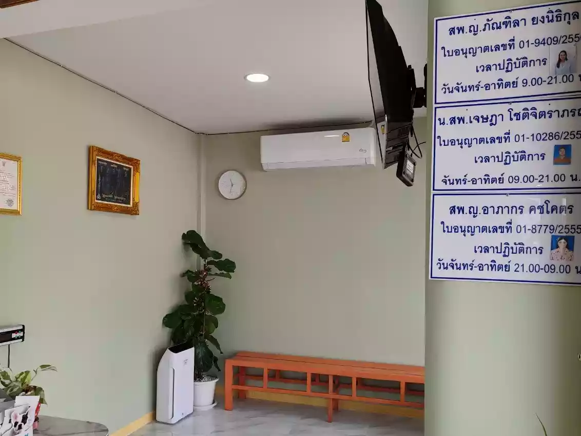 โรงพยาบาลสัตว์ปัญญาอินทรา รูปที่ 3