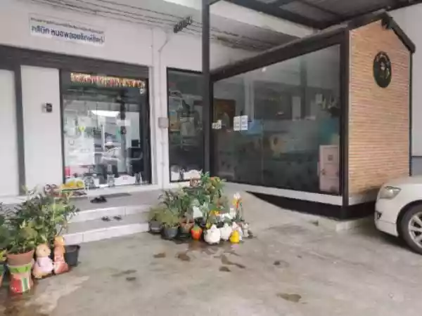 คลินิกหมอพลอยรักษาสัตว์ รูปที่ 2
