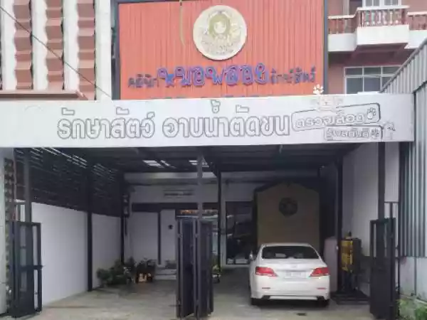 คลินิกหมอพลอยรักษาสัตว์ รูปที่ 1