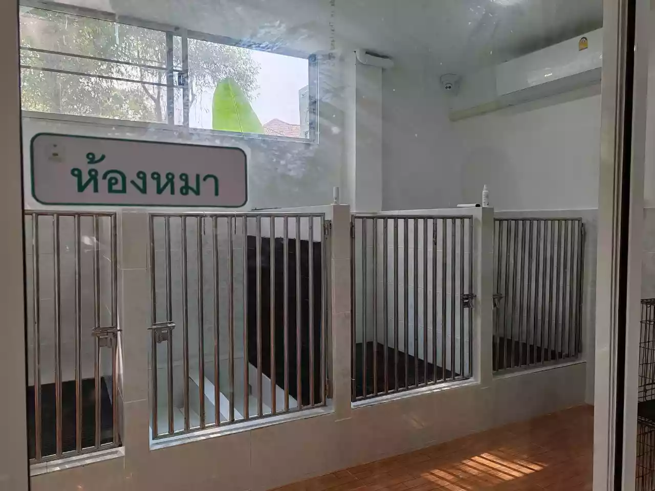 โรงพยาบาลสัตว์ปัญญาอินทรา รูปที่ 6