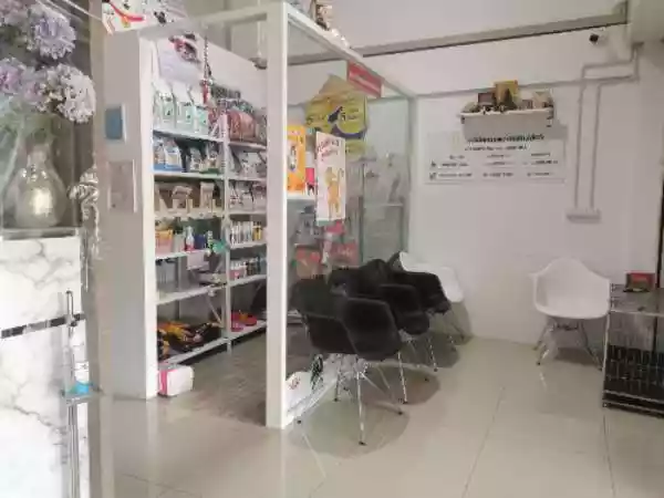 คลินิกหมอพลอยรักษาสัตว์ รูปที่ 3