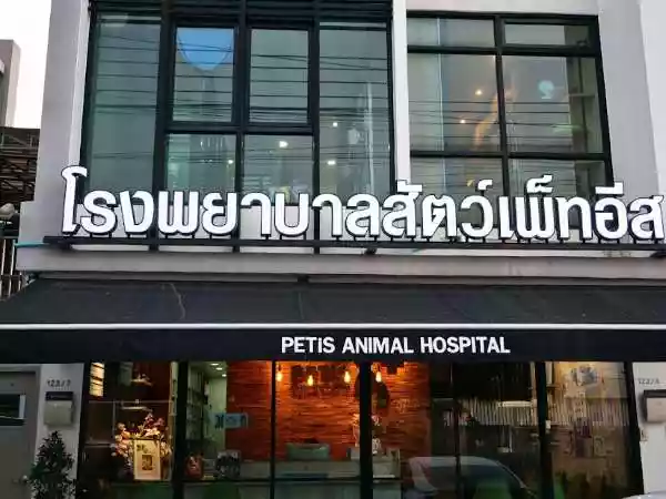 โรงพยาบาลสัตว์เพ็ทอีส รูปที่ 1